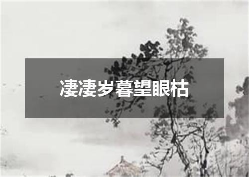 凄凄岁暮望眼枯