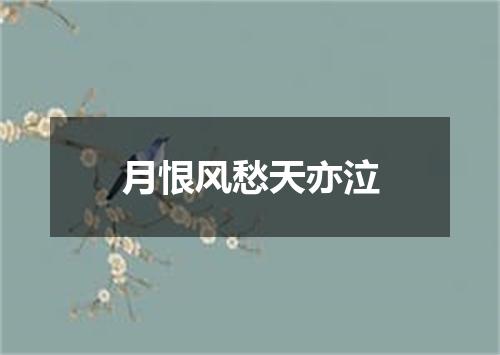 月恨风愁天亦泣