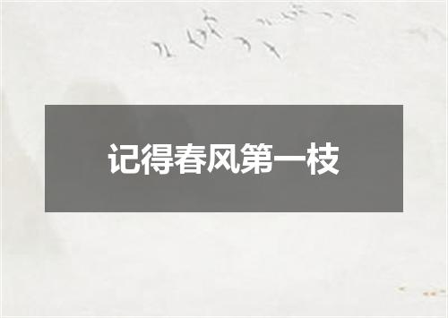 记得春风第一枝