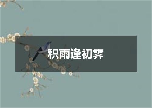 积雨逢初霁