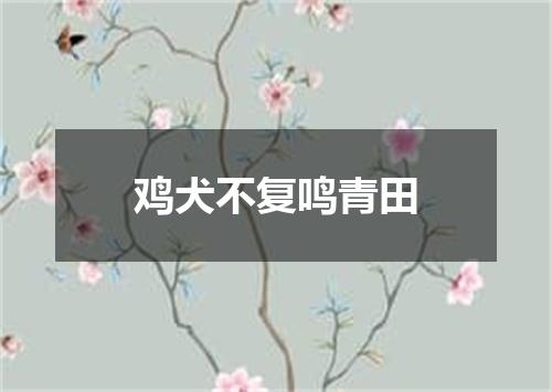 鸡犬不复鸣青田