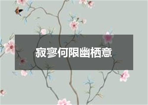 寂寥何限幽栖意