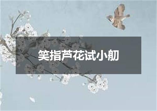笑指芦花试小舠