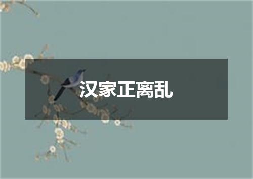汉家正离乱