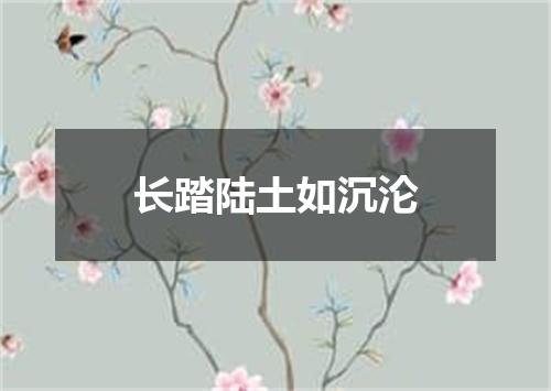 长踏陆土如沉沦