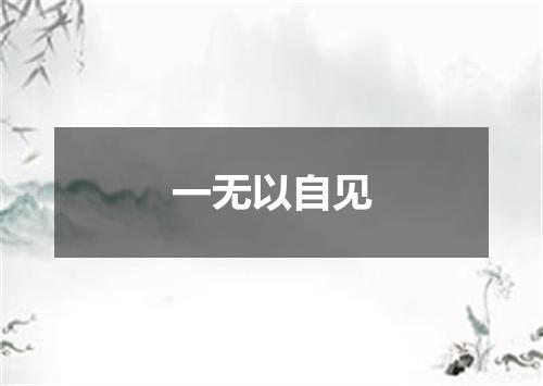 一无以自见