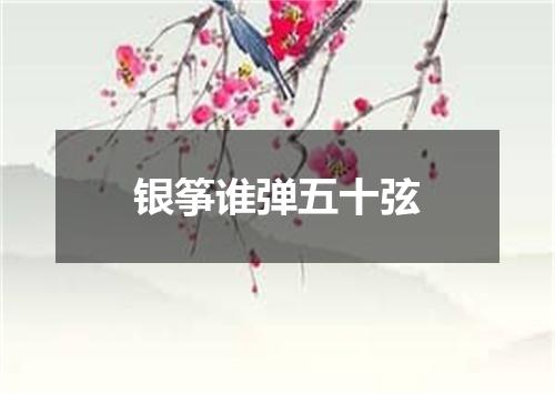银筝谁弹五十弦