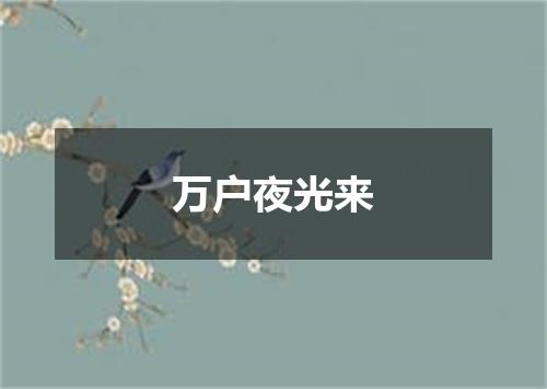 万户夜光来