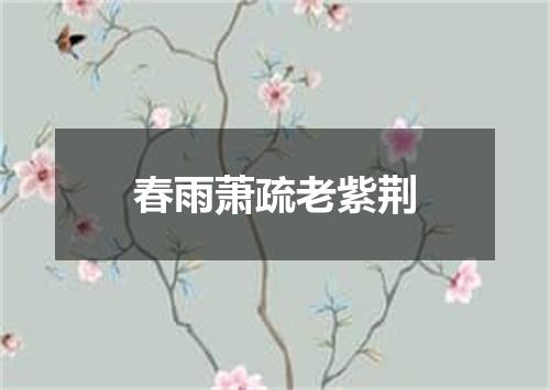春雨萧疏老紫荆