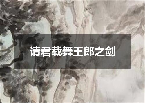 请君载舞王郎之剑