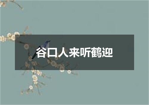 谷口人来听鹤迎