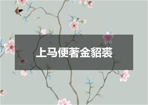 上马便著金貂裘