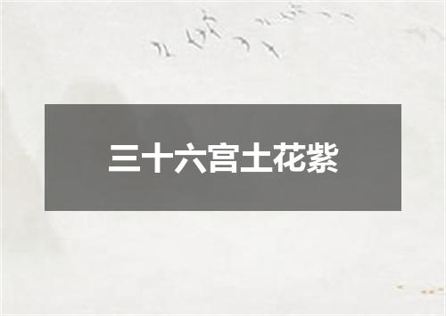 三十六宫土花紫