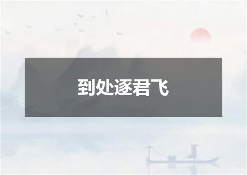 到处逐君飞