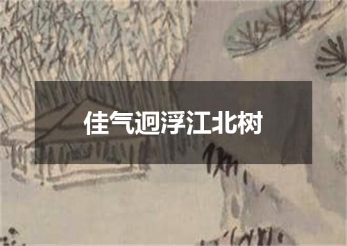 佳气迥浮江北树