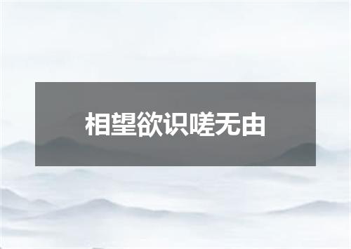 相望欲识嗟无由