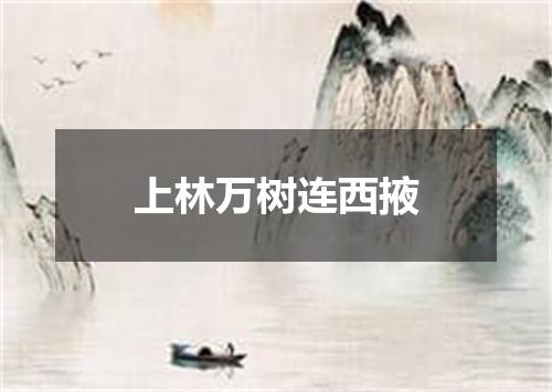 上林万树连西掖
