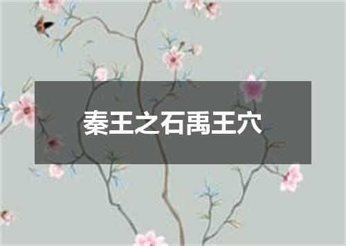 秦王之石禹王穴