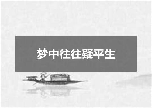 梦中往往疑平生