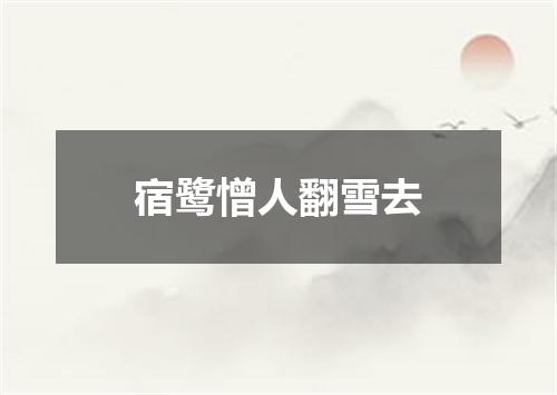 宿鹭憎人翻雪去