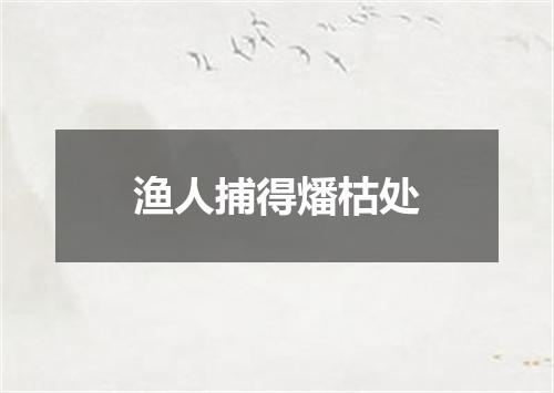 渔人捕得燔枯处