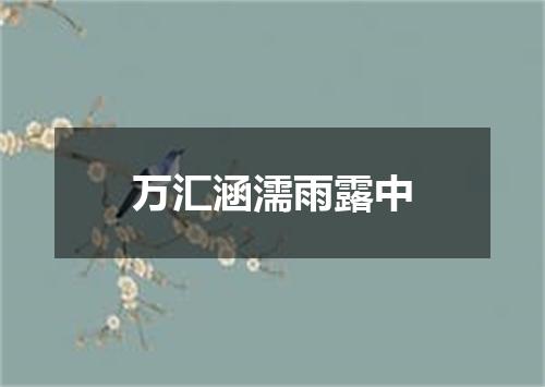 万汇涵濡雨露中