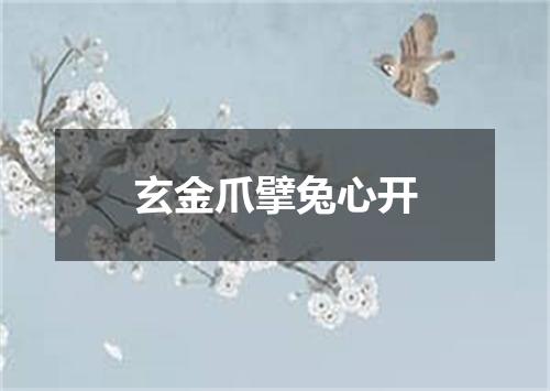玄金爪擘兔心开