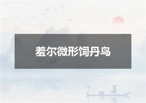 羞尔微形饲丹鸟