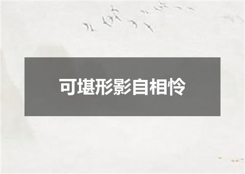 可堪形影自相怜