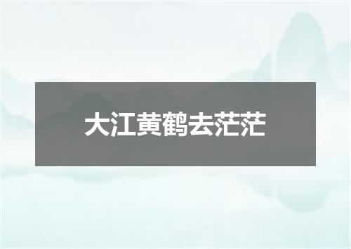 大江黄鹤去茫茫