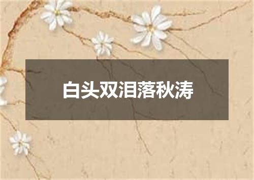 白头双泪落秋涛