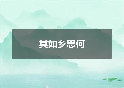 其如乡思何