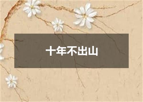 十年不出山