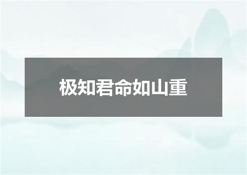 极知君命如山重