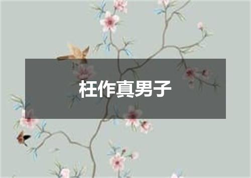 枉作真男子