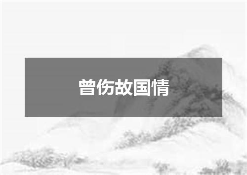 曾伤故国情