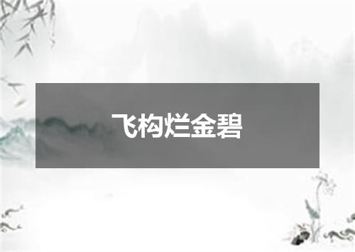 飞构烂金碧