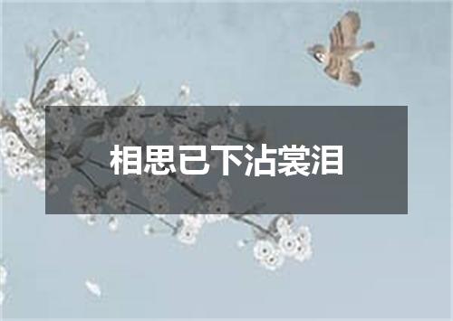 相思已下沾裳泪
