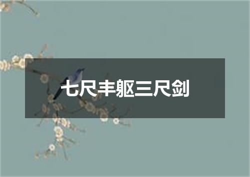 七尺丰躯三尺剑