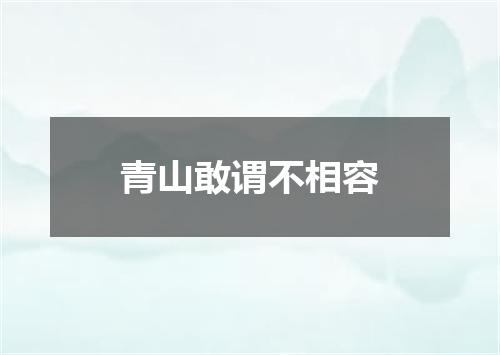青山敢谓不相容