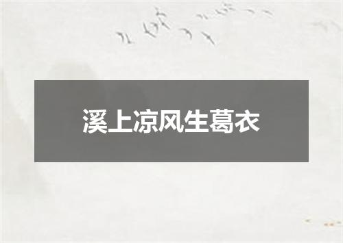 溪上凉风生葛衣