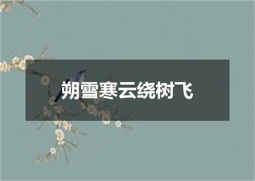 朔雪寒云绕树飞