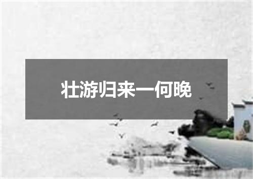 壮游归来一何晚