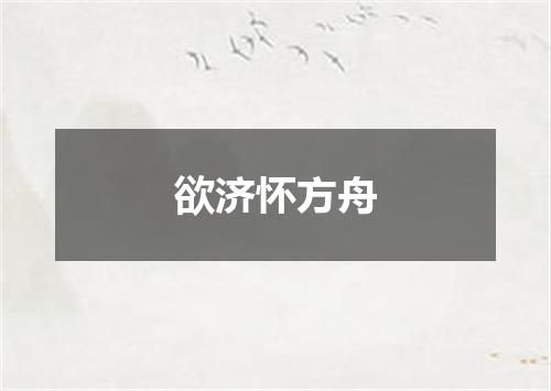 欲济怀方舟