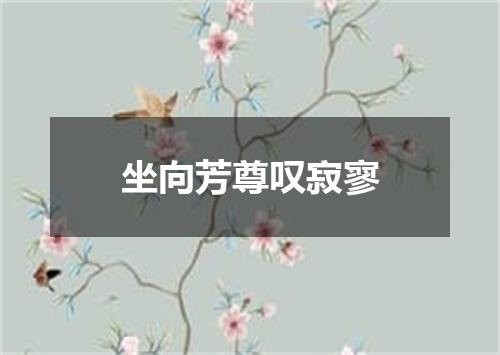 坐向芳尊叹寂寥
