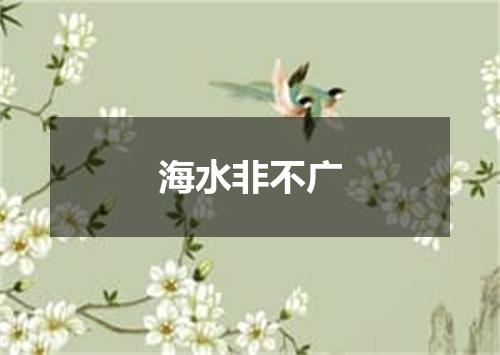 海水非不广