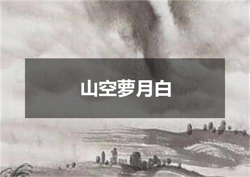 山空萝月白