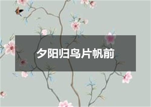 夕阳归鸟片帆前