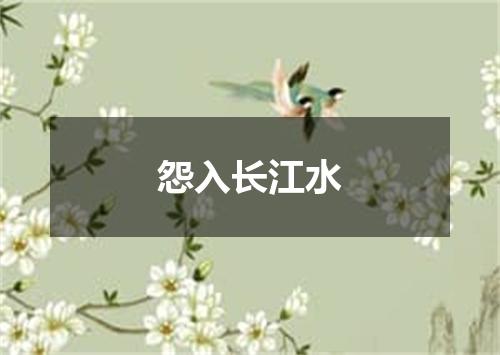 怨入长江水