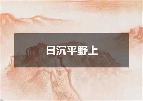 日沉平野上